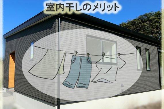 サンプル